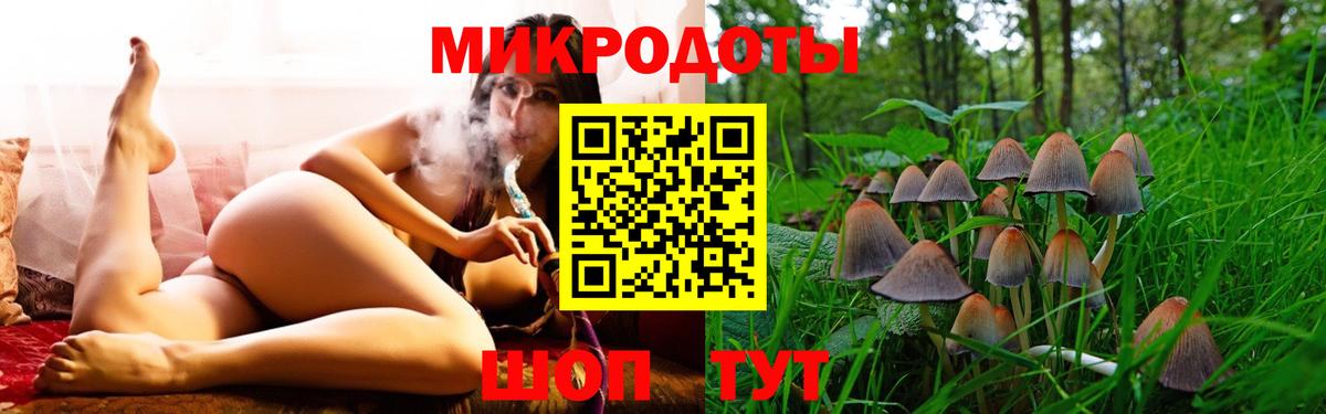 Сокол  Псилоцибиновые грибы Magic Shrooms  цены наркотик  Вход с VPN 