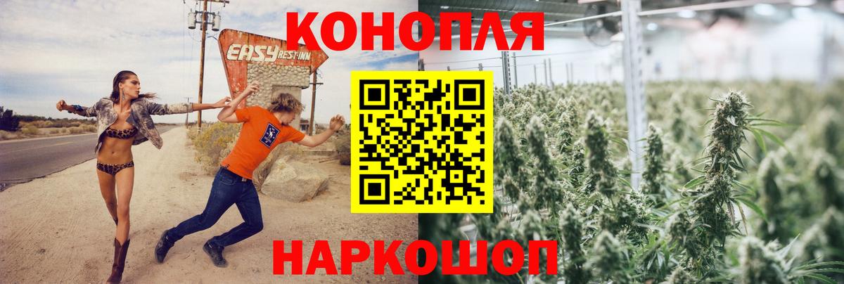 Шишки марихуана планчик  Вход с VPN  Сокол  Бошки Шишки сатива  Каннабис VHQ  МАРИХУАНА AK-47 