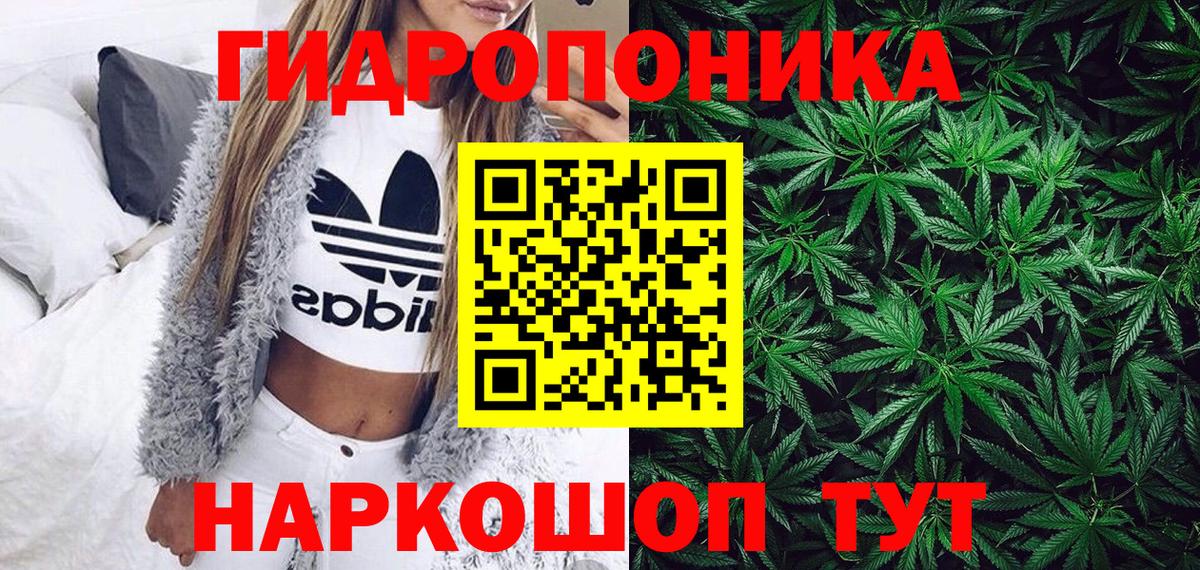 Шишки марихуана ГИДРОПОН Сокол
